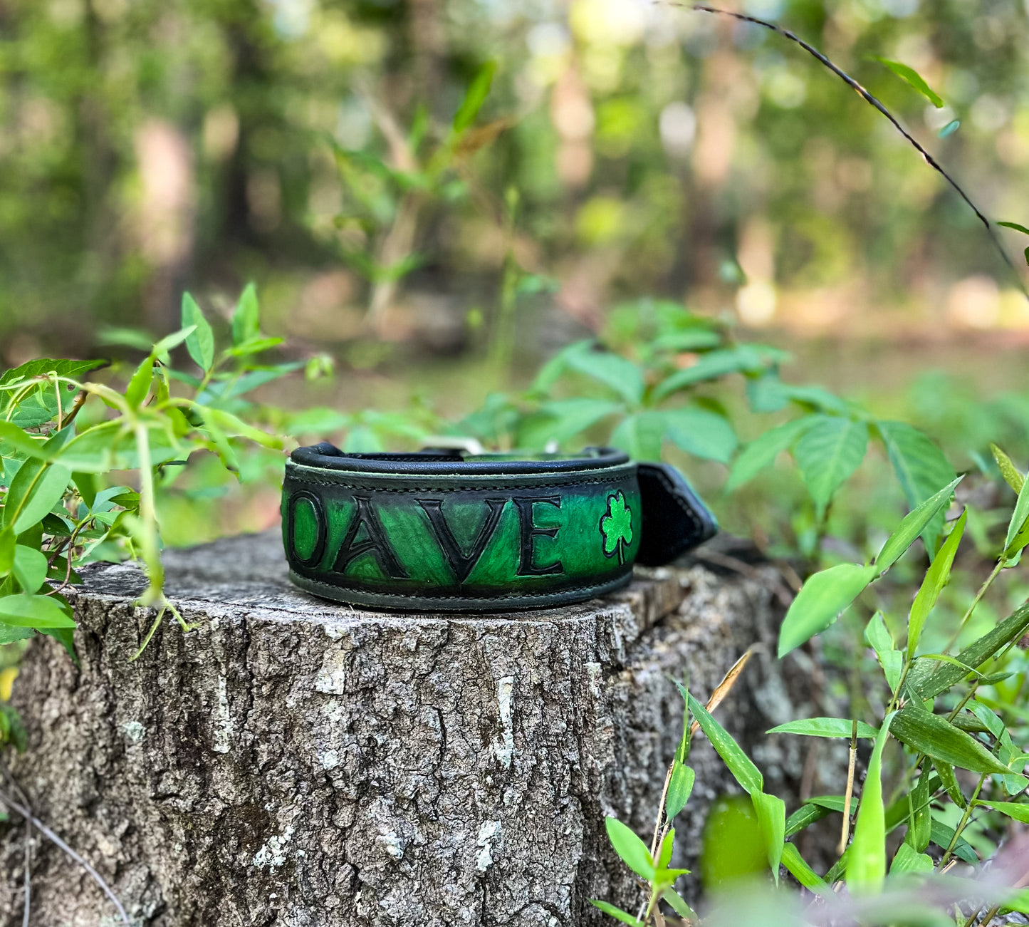 2” Custom Name Agitation Collar