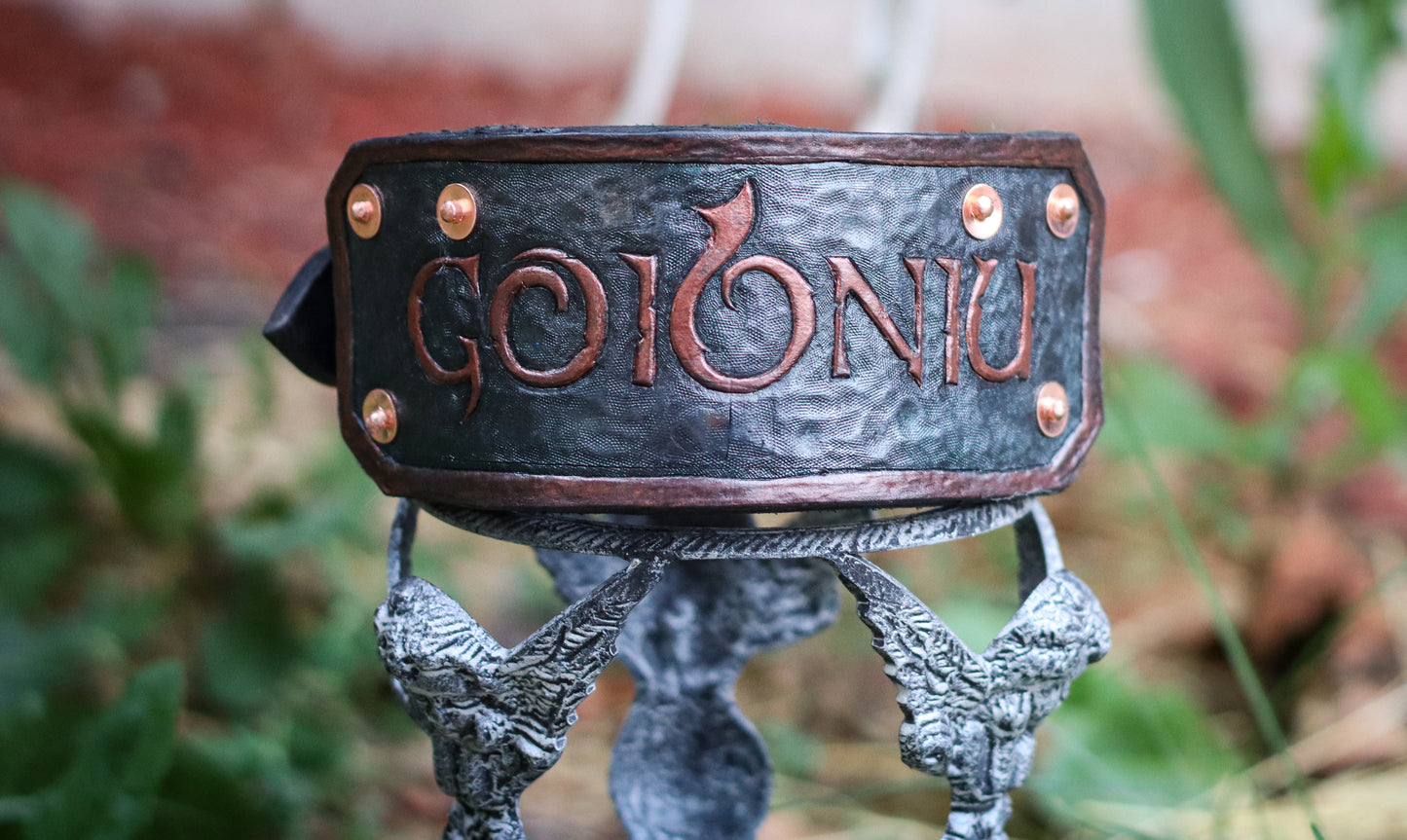 Celtic Dragon Armored Hound Collar