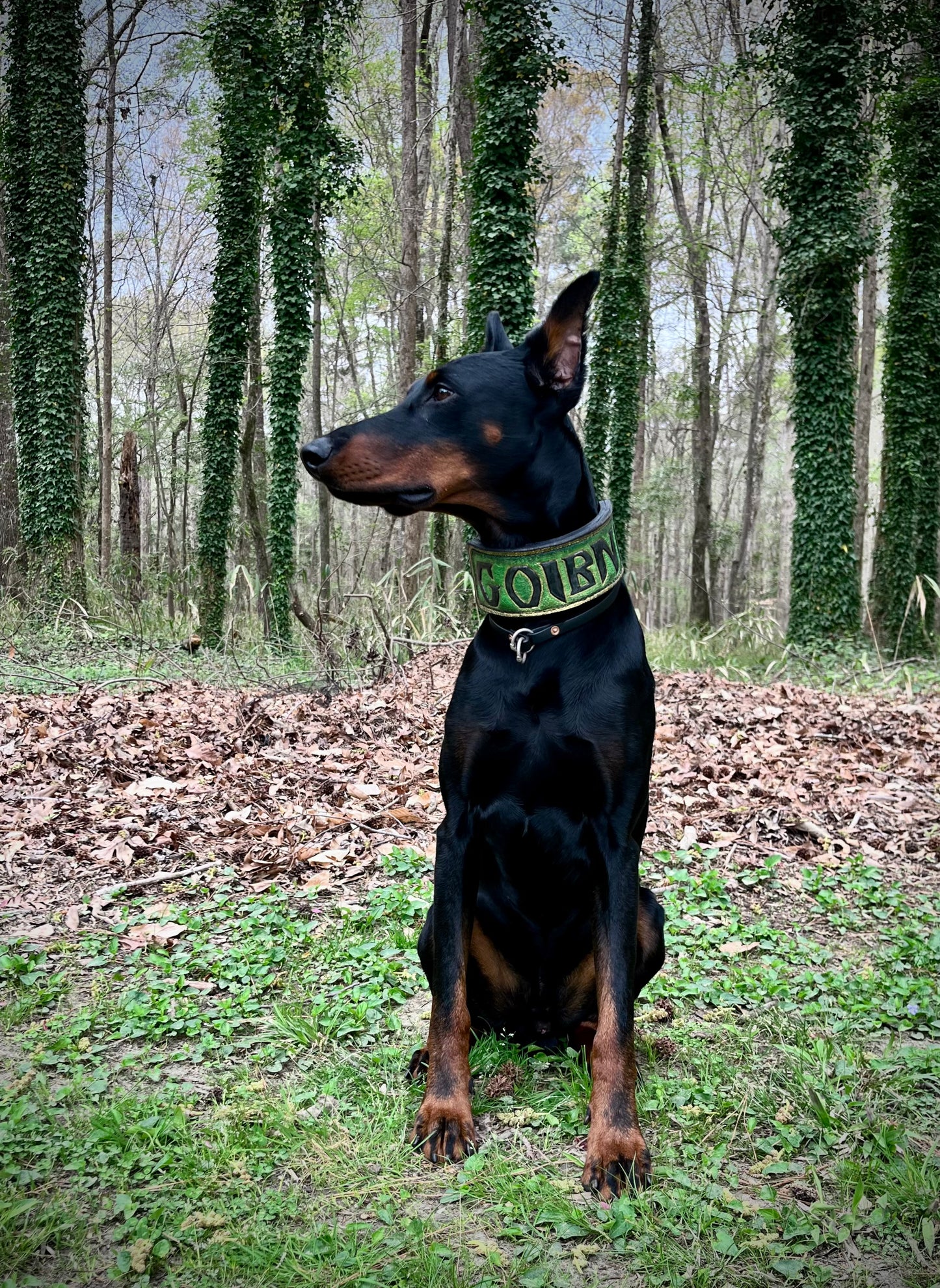 2” Custom Name Agitation Collar